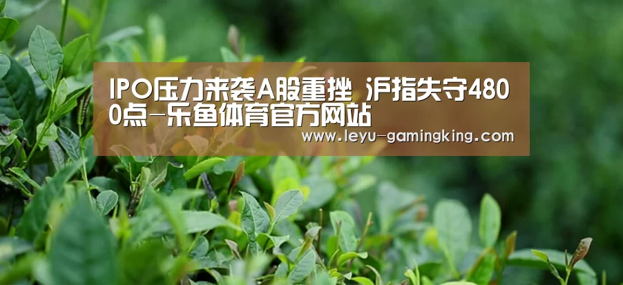 IPO压力来袭A股重挫 沪指失守4800点-乐鱼体育官方网站(图1) 乐鱼官网