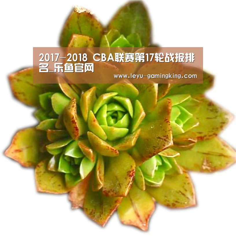 2017-2018 CBA联赛第17轮战报排名_乐鱼官网(图2) 乐鱼娱乐平台
