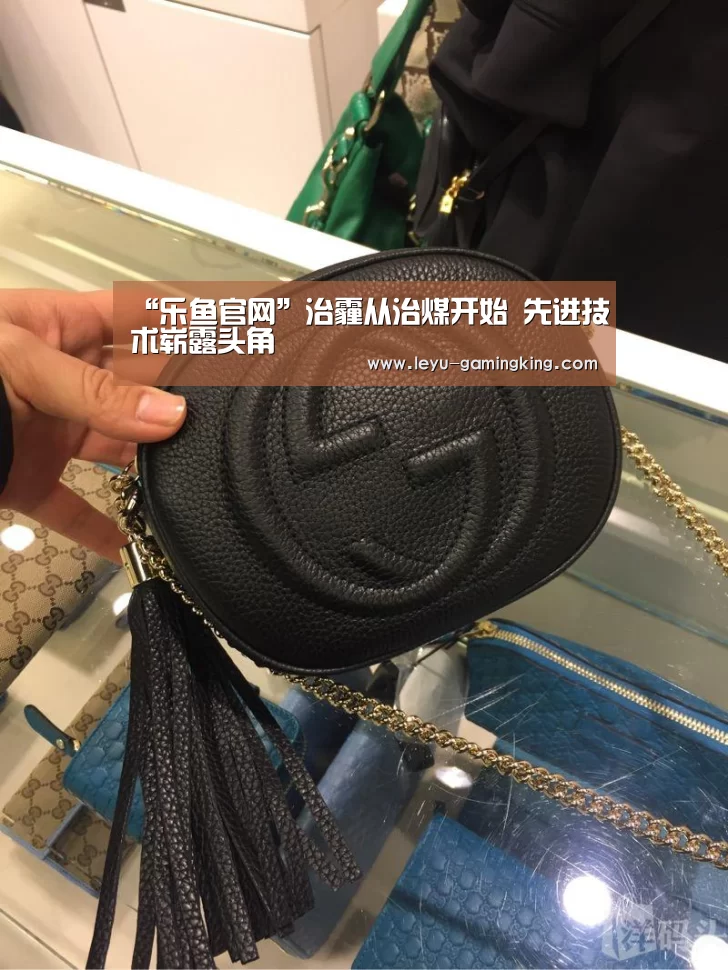 “乐鱼官网”治霾从治煤开始 先进技术崭露头角(图1) 乐鱼娱乐平台