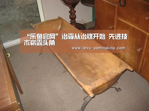 “乐鱼官网”治霾从治煤开始 先进技术崭露头角(图4) 乐鱼官网