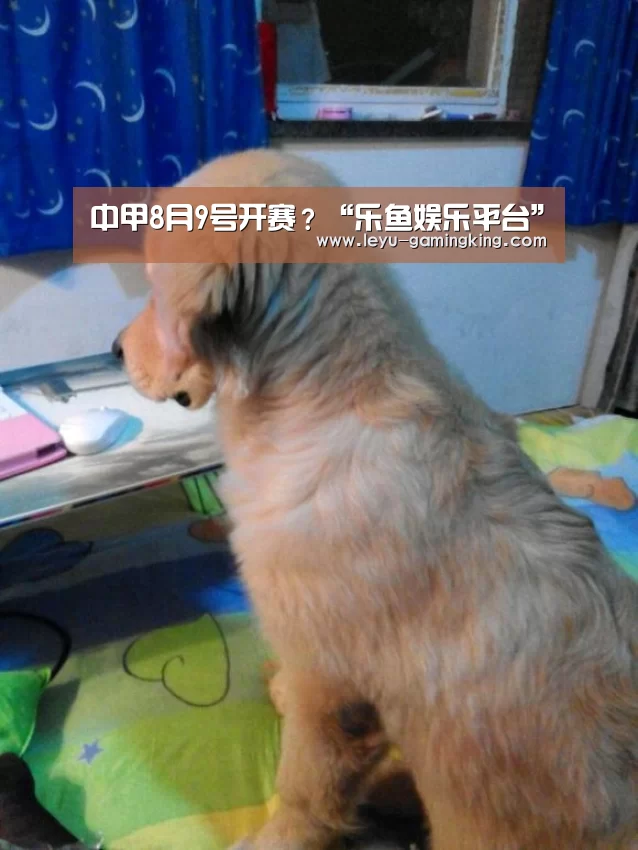 乐鱼电竞APP