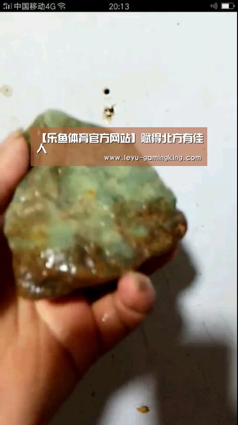 乐鱼体育官方网站